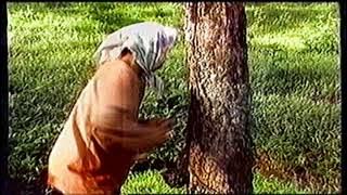 Download lagu Indonesia Sungguh Indah Permai - Harvey Malaiholo