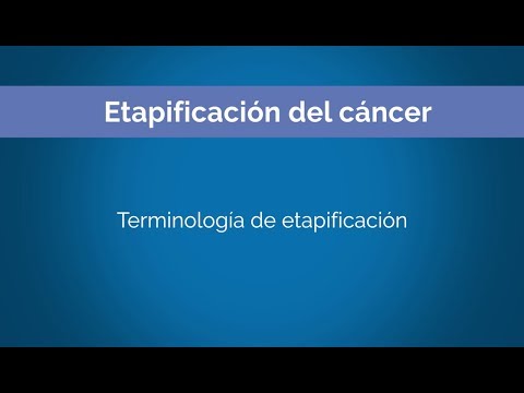 Vídeo: Familia MicroRNA-34: Un Supresor Tumoral Potencial Y Candidato Terapéutico En Cáncer