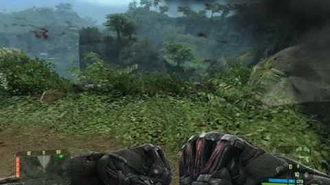 Crysis FCFort InGame Test