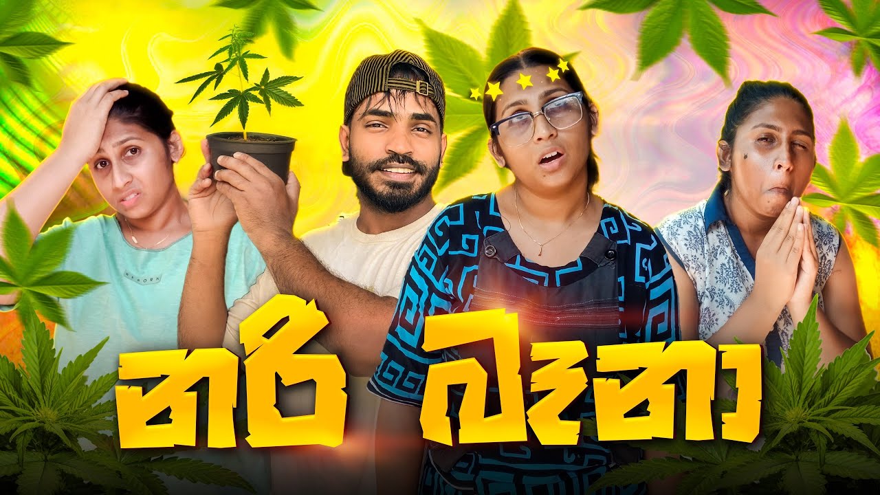 නරි බෑනා | Nari Baana | @hiroshimabandaraofficial