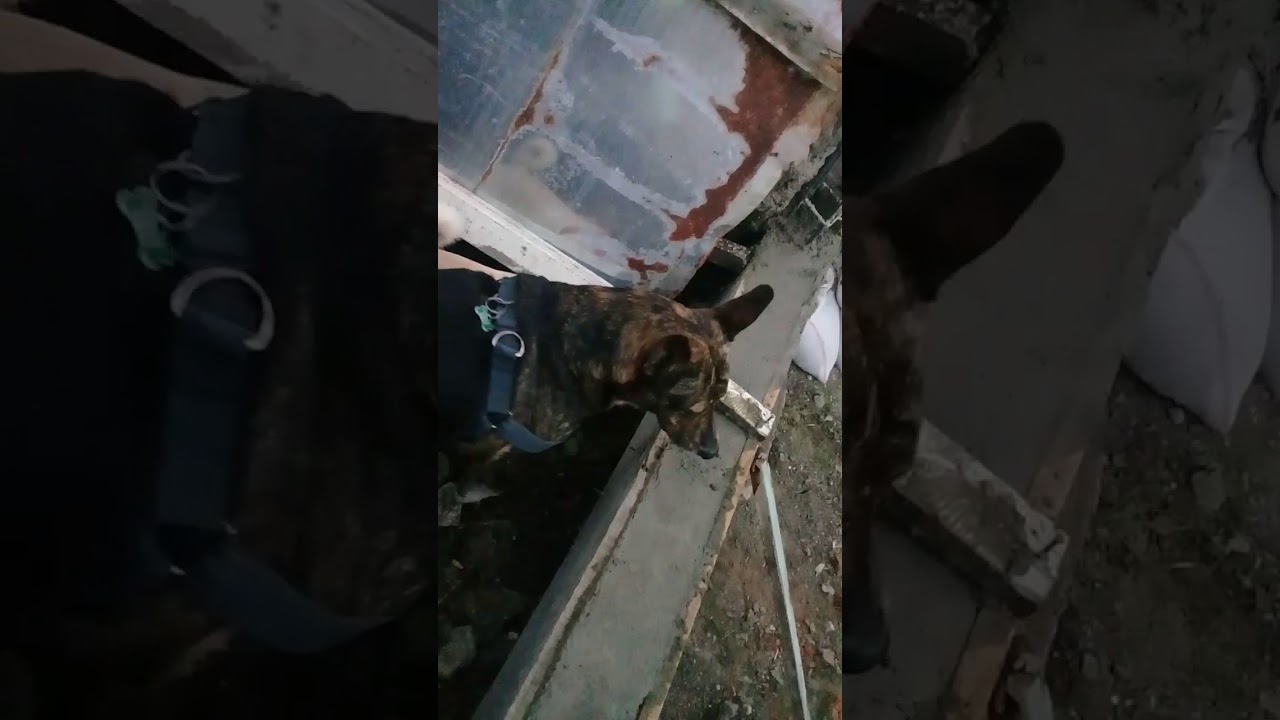 Revisando el Trabajo Fiona y Maui