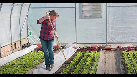 Connecta™ Interchangeable Tool System | from Johnny's Selected Seeds