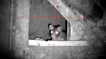 Pest control with Reximex and Hikmicro 