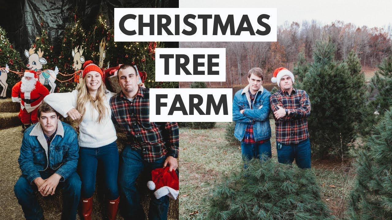 VLOGMAS DAY 1: Christmas Tree Farm - YouTube
