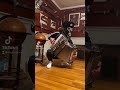 Squatting and playing moskau on accordion shorts accordion