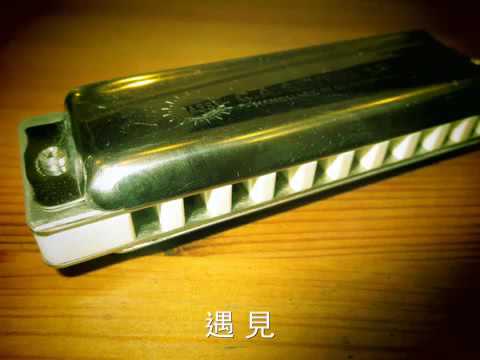孫燕姿 遇見 藍調口琴 (十孔口琴)  威森堡 (WEISSENBERG)  No.1001 : G#