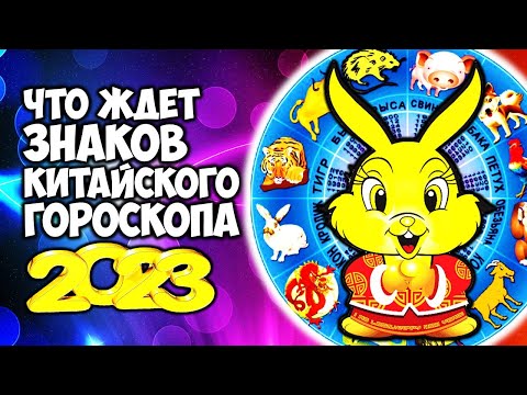 Что ждет Знаков Китайского гороскопа в 2023 году Кролика