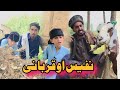 Nafees aw qurbani  pashto funny  afaq aw nafees 2023