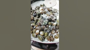 ỐC ĐẮNG XÀO NƯỚC CỐT DỪA MÓN NGON MIỀN TÂY ĐẬM ĐÀ HƯƠNG VỊ QUÊ NHÀ #ốcđắngxào  #cô8vườnhoan