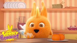 HEALTHY BREAKFAST - SUNNY BUNNIES | SEASON 7 | Cartoons for Kids