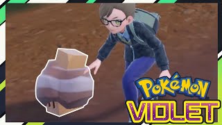 Live Shiny Nacli in Pokemon Violet Live Full Odds Shiny Nacli In Pokemon Violet Phase 1