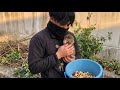 【パンチくん🐵】宝物を奪われ絶望する赤ちゃん猿…孤独な背中から一転、飼育員さんへの“全力抱っこ”に涙が止まらない！