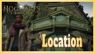 Hogwarts Legacy Where to Find Dogweed and Deathcap? Net Worth