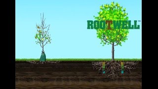 Rootwell Pro318 Aeration Tube System Versus Tree Watering Bags