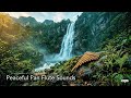 Pan Flute Sleep Music 🌙 Deep Relaxation, Calm Mind &amp; Healing Night Sounds