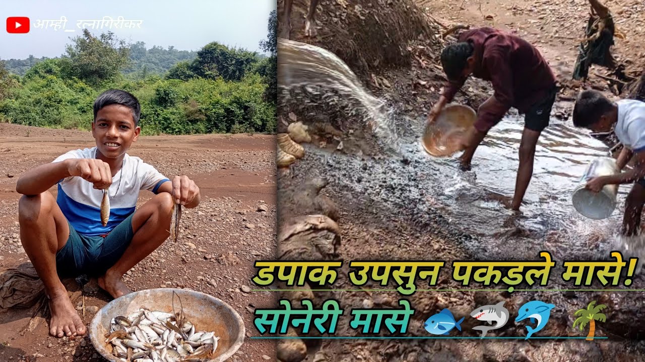 डपाक उपसुन पकड़ले मासे! मोठे सोनेरी मासे 🐟🦐🐬🦈