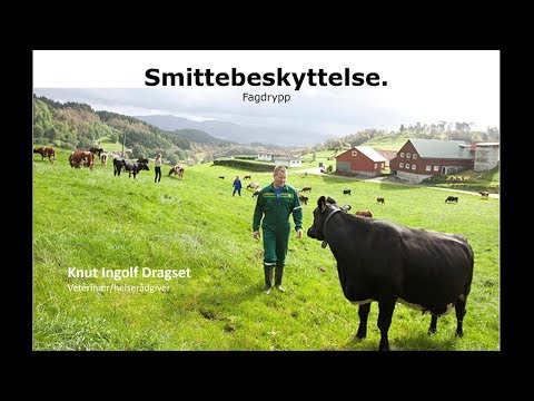 Video: Hva Er Solide Løsninger