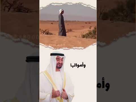 دافعو عنه الشيخ محمد بن زايد الامارات غزة فلسطين 