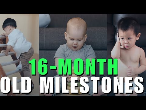 16-Month-Old Milestones For
