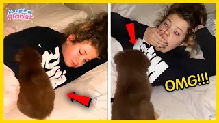 🐕🤩BEST New Puppy Surprise Compilation🐾Wholesome Surprise Moments