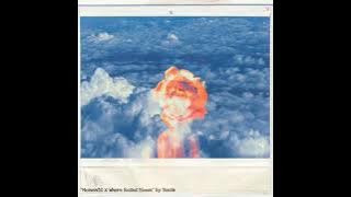 Download lagu Tessa - Moments x Where Roses Bloom 《1 hour》