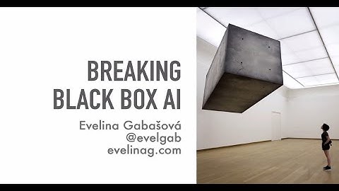 Breaking black-box AI - Evelina Gabasova