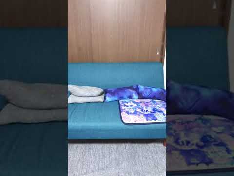 チェッカーズ/涙のリクエスト/うたってみた🙇‍♀️🙏✨✨