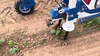 Ullmanna Ai Weeder In Pumpkins