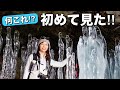【まだ見ぬ景色があった】思ってた100倍凄かった!大滝百畳敷洞窟の氷筍にょろにょろ