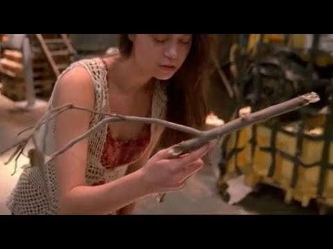 firefly – aufbruch der serenity firefly – aufbruch der serenity