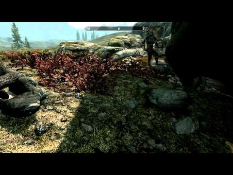 The Elder Scrolls V: Skyrim: The swimming buddy