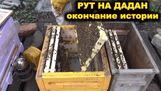 РУТ на ДАДАН. окончание истории.