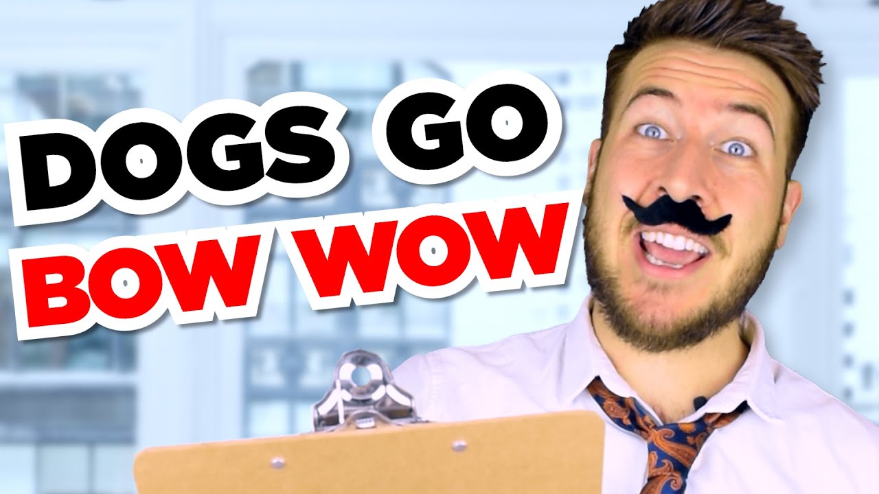 How Animal Sounds Were Decided, on YouTube