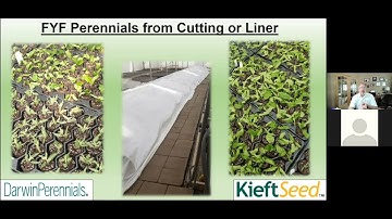 Tech On Demand: First-Year Flowering Perennials (Part 4) Vegetative Propagation