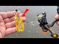 Catching big perch on creature baits crazy session