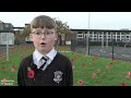 Watch: Carrickfergus Primary School holds Remembrance day event