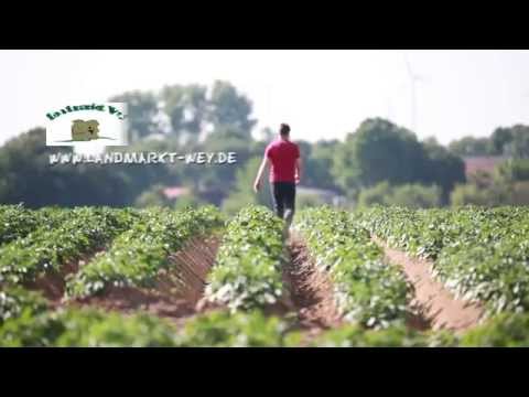 Landmarkt Wey Kartoffeln, Gemüse und Eier direkt vom Erzeuger aus Jüchen
