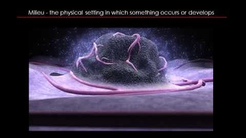 Understanding Your Cancer - Part 1