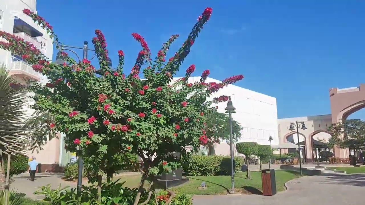 فن تقليم الجهنمية 