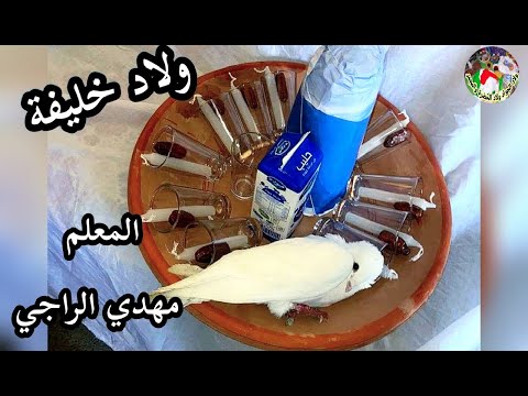 Maalem Mehdi Erraji Oulad Khlifa المعلم مهدي الراجي ولاد خليفة مالين الزاج وجبة مخنترة