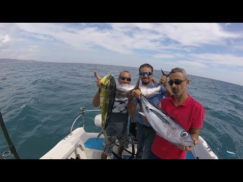 Traina d'altura e Spinning – Alalunghe e lampughe