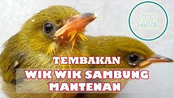 TEMBAKAN WIK WIK PANJANG SAMBUNG MANTENAN PALING TOP  - Durasi: 4:27. 