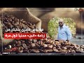 مهندس مصري يتمكن من زراعة البن محليا لأول مرة في محاولة لتوفير العملة الصعبة أهل مصر Ahlmisr 