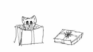 Kitten animation