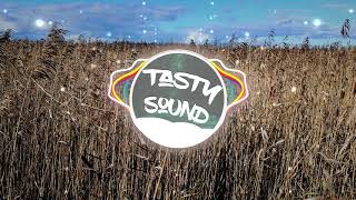 Sunlike Brothers & LANNE  -  Kissed A Girl von Future House Cloud (Bass Boost) | Tasty Sound