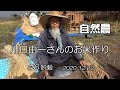 【自然農】川口由一さんのお米作り♯6 脱穀 2020/12/12　[Natural farming] Kawaguchi's rice making ♯6