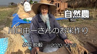 【自然農】川口由一さんのお米作り♯6 脱穀 2020/12/12　[Natural farming]  Kawaguchi's rice making ♯6 自然農 川口由一さんのお米作り ３田植え 2020 6 20 Natural Farming Kawaguchi S Rice Making 3