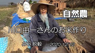 【自然農】川口由一さんのお米作り♯6 脱穀 2020/12/12　[Natural farming]  Kawaguchi's rice making ♯6