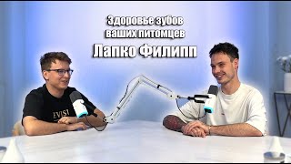 Ветеринарная стоматология | Гигиена и лечение зубов у животных | Чердак подкаст