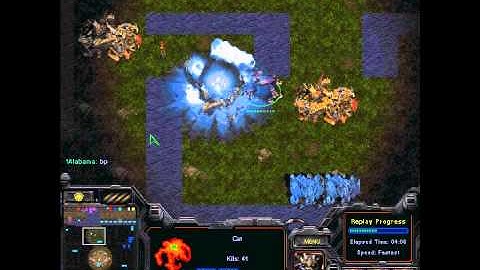 Starcraft Cat n Mouse Jungle